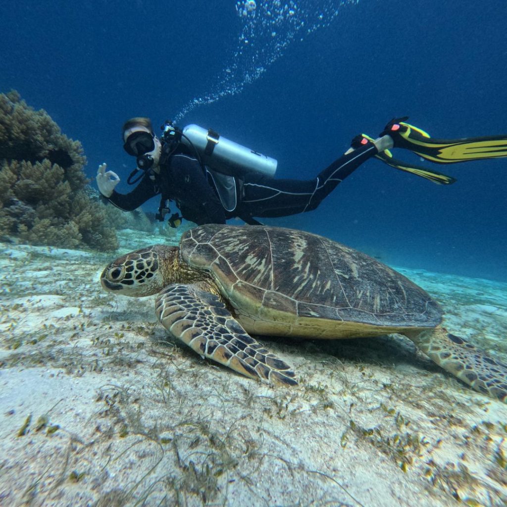 Moana Resort Panglao - Haka Dive Center